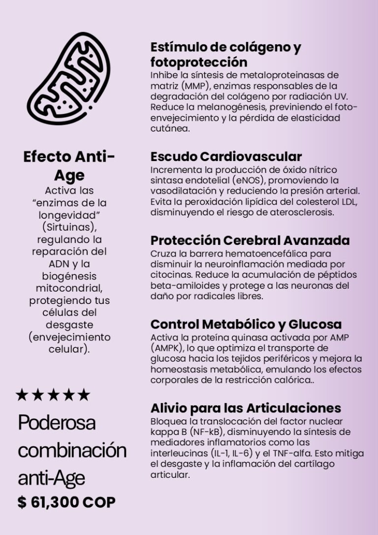 Diapositiva15